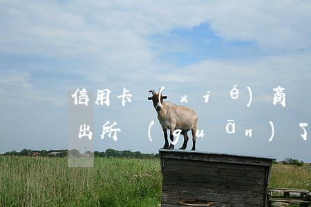 信用卡協(xié)商結(jié)果被派出所關(guān)了會怎樣？去信用卡中心協(xié)商被扣留
